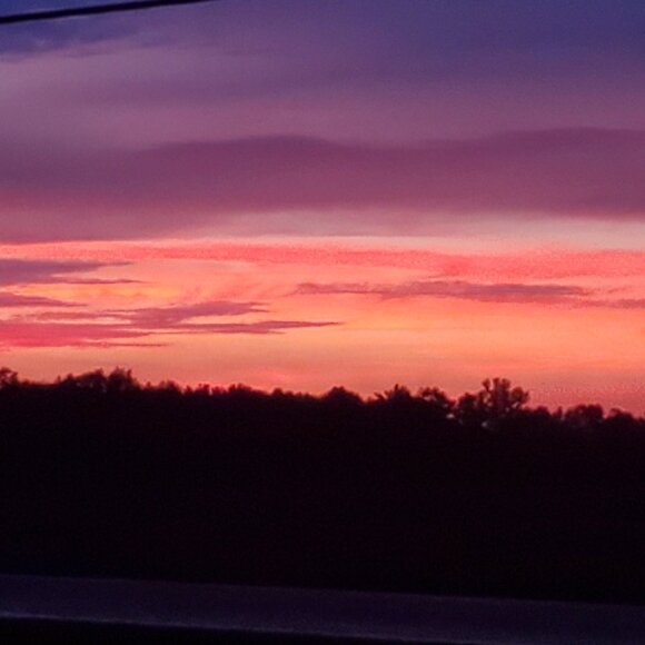 Meet your Posher, Charlene - Picture 1 of 1